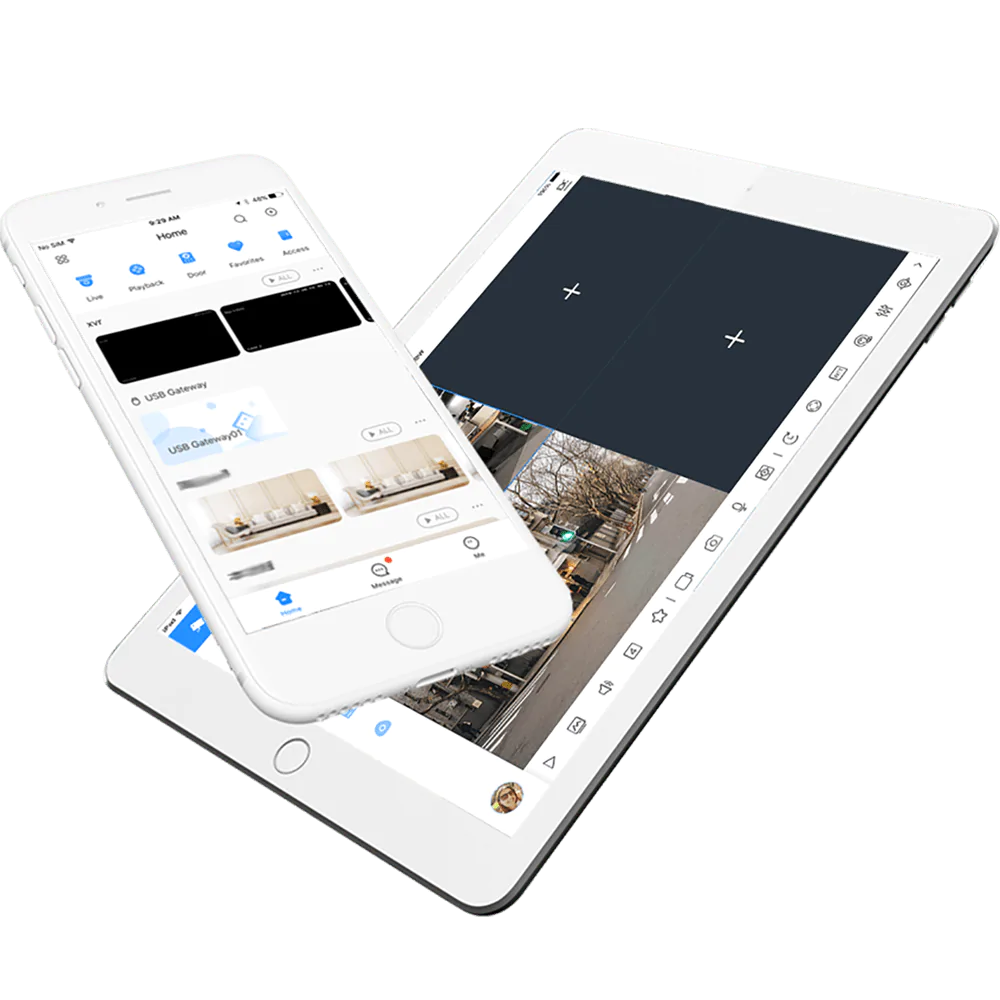 DMSS product image Web